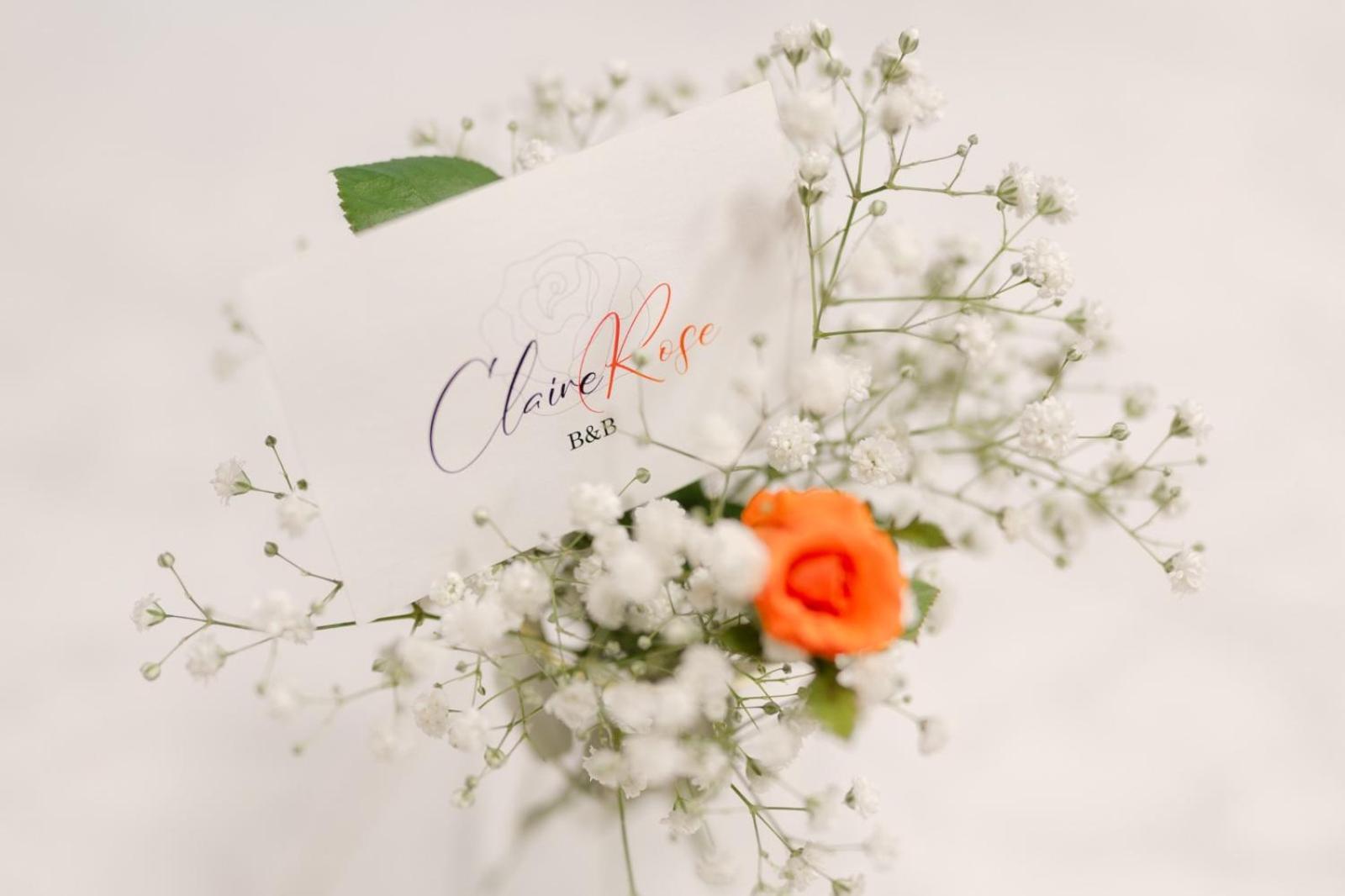 Claire Rose B&B Matera Esterno foto